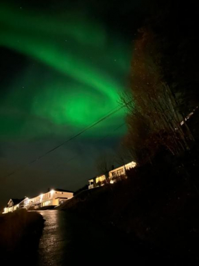 Sjurelva